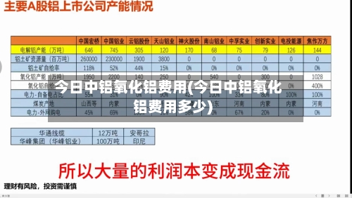 今日中铝氧化铝费用(今日中铝氧化铝费用多少)-第1张图片