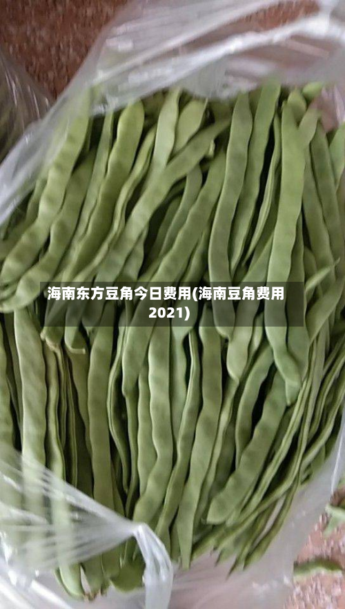 海南东方豆角今日费用(海南豆角费用2021)-第3张图片