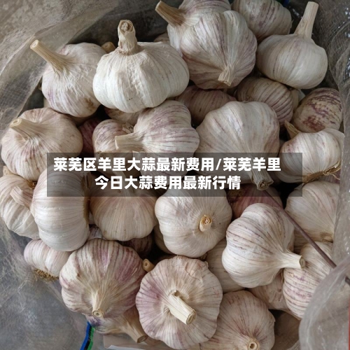 莱芜区羊里大蒜最新费用/莱芜羊里今日大蒜费用最新行情-第2张图片