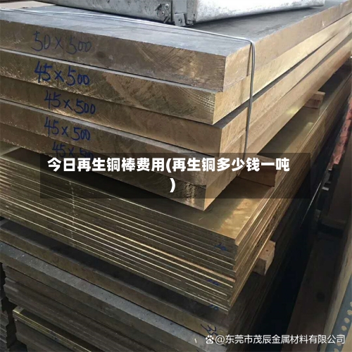 今日再生铜棒费用(再生铜多少钱一吨)-第1张图片