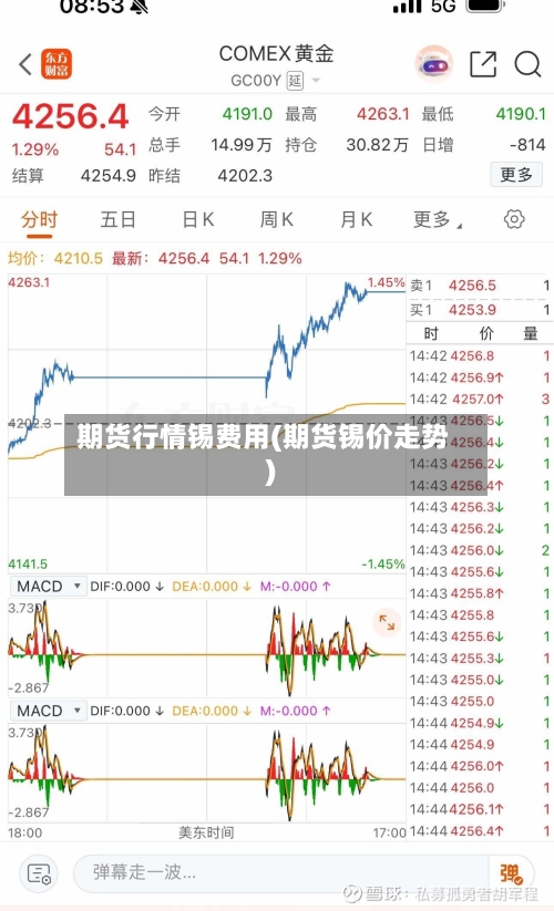 期货行情锡费用(期货锡价走势)-第3张图片