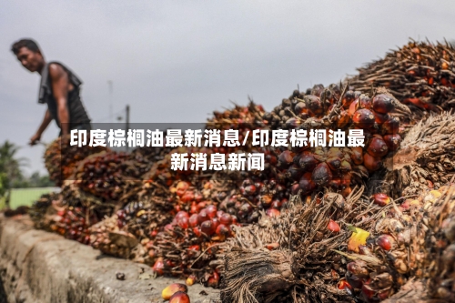 印度棕榈油最新消息/印度棕榈油最新消息新闻-第2张图片