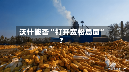 沃什能否“打开宽松局面	”？-第2张图片