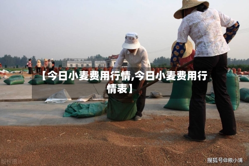 【今日小麦费用行情,今日小麦费用行情表】-第2张图片