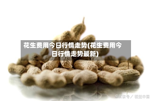 花生费用今日行情走势(花生费用今日行情走势最新)-第3张图片