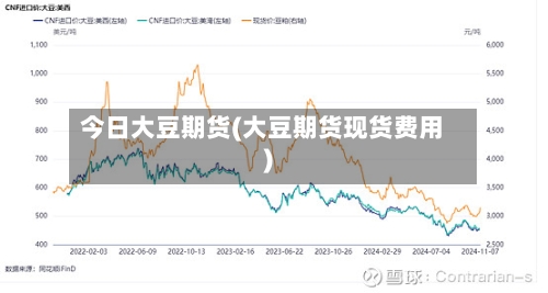 今日大豆期货(大豆期货现货费用)-第1张图片