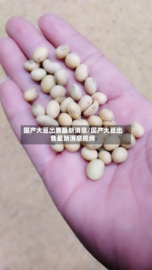 国产大豆出售最新消息/国产大豆出售最新消息视频-第2张图片
