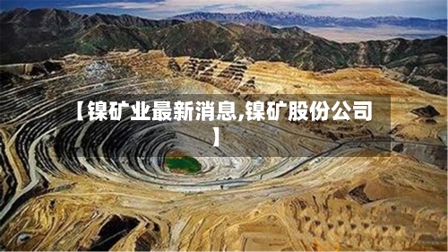 【镍矿业最新消息,镍矿股份公司】-第2张图片