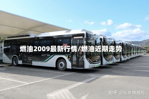 燃油2009最新行情/燃油近期走势-第1张图片