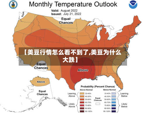 【美豆行情怎么看不到了,美豆为什么大跌】-第1张图片