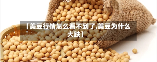 【美豆行情怎么看不到了,美豆为什么大跌】-第3张图片