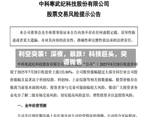 利空突袭！深夜	，暴跌！科技巨头，突遭抛售-第1张图片