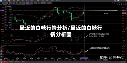 最近的白糖行情分析/最近的白糖行情分析图-第1张图片