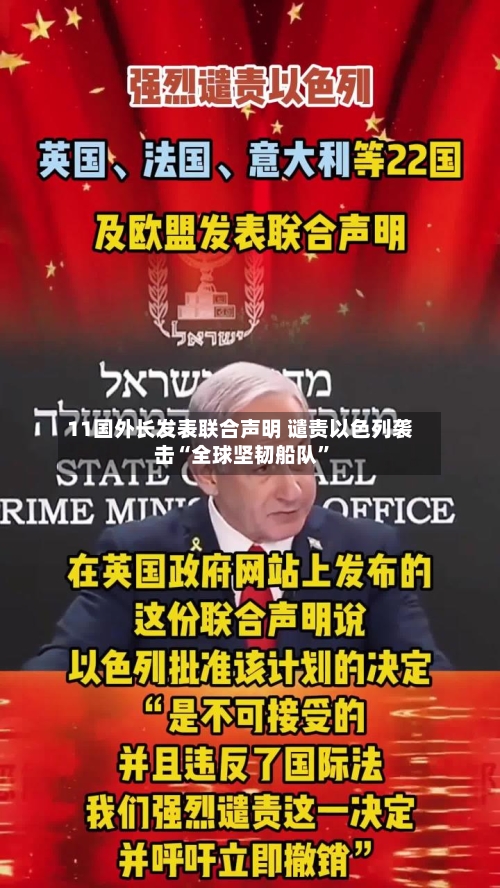 11国外长发表联合声明 谴责以色列袭击“全球坚韧船队”-第2张图片