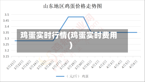 鸡蛋实时行情(鸡蛋实时费用)-第2张图片