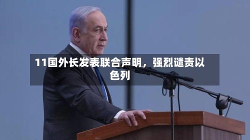 11国外长发表联合声明，强烈谴责以色列-第2张图片