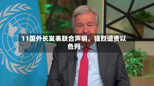 11国外长发表联合声明，强烈谴责以色列-第3张图片
