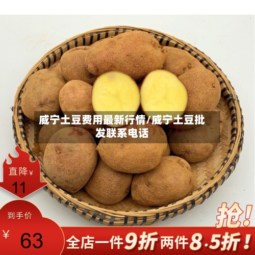 威宁土豆费用最新行情/威宁土豆批发联系电话-第2张图片