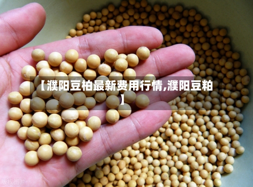 【濮阳豆柏最新费用行情,濮阳豆粕】-第2张图片