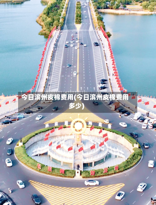 今日滨州皮棉费用(今日滨州皮棉费用多少)-第1张图片