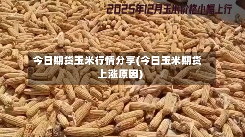 今日期货玉米行情分享(今日玉米期货上涨原因)-第1张图片