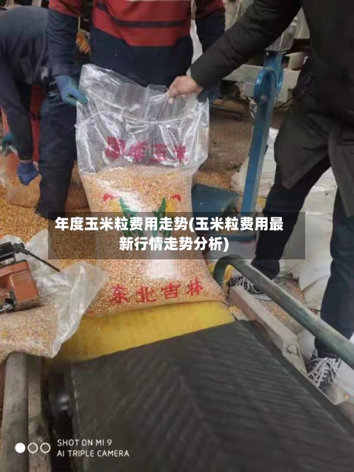 年度玉米粒费用走势(玉米粒费用最新行情走势分析)-第2张图片