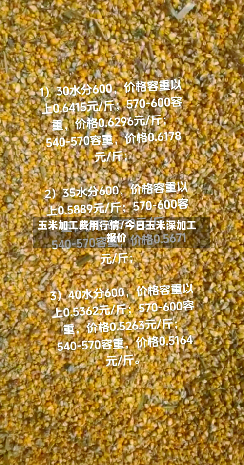 玉米加工费用行情/今日玉米深加工报价-第3张图片