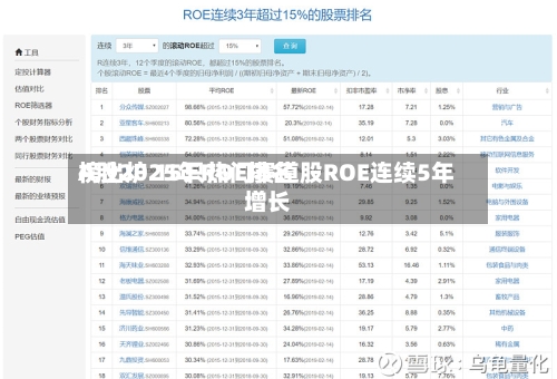 A股2025年ROE排名榜出炉 15只热门赛道股ROE连续5年增长-第3张图片